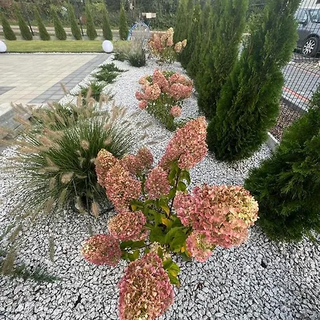 Apartment Hortensja Check-in 24h