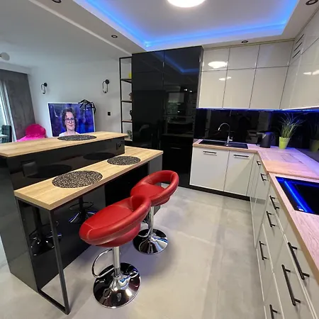 Hortensja Check-in 24h