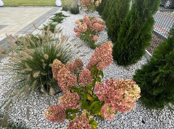 Apartment Hortensja Check-in 24h