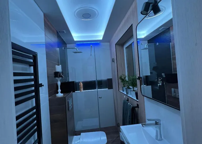 Hortensja Check-in 24h